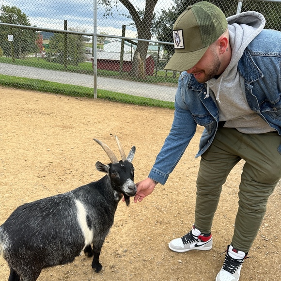 Meet your Posher, Devon - Picture 1 of 1